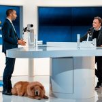 Duas pessoas conversam em um estúdio moderno de televisão, enquanto um cachorro permanece deitado ao lado.